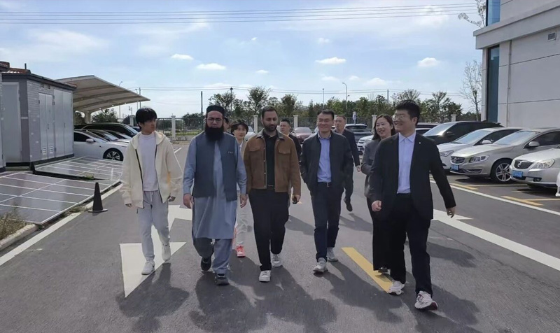 跨洲携手，智泰新能源全球合作再提速！