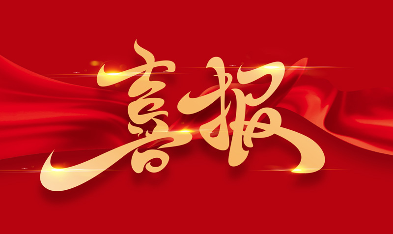 载誉向欣-智泰新能源2025年度省级荣誉回顾