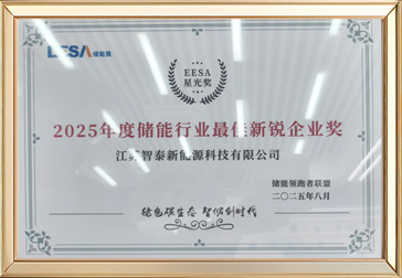 2025年度储能行业最佳新锐企业奖